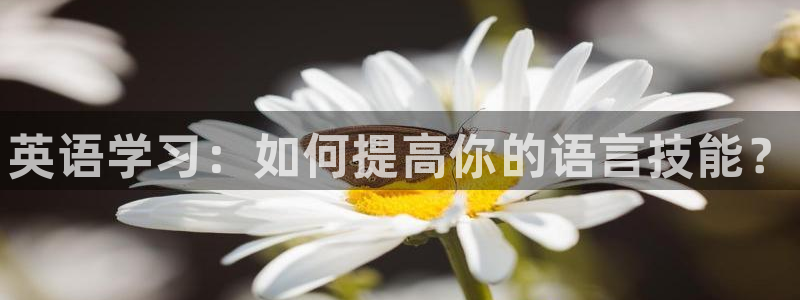 公海赌赌船官方正版app科技：英语学习：如何提高你的