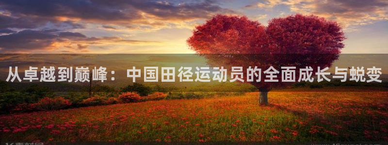 公海赌赌船官网下载