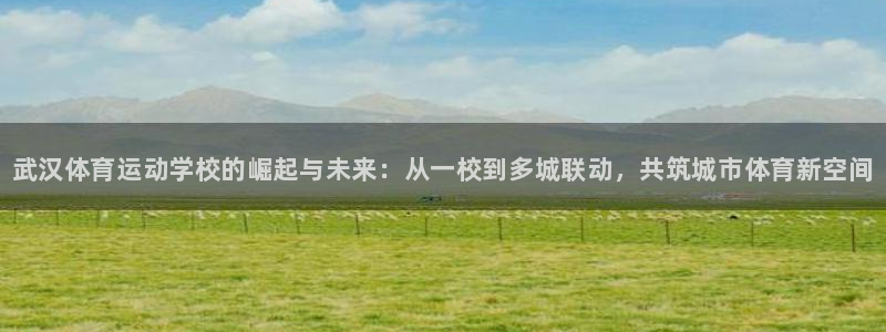 公海赌赌船官网下载平台是正规平台吗安全吗：武汉体育运动学校的