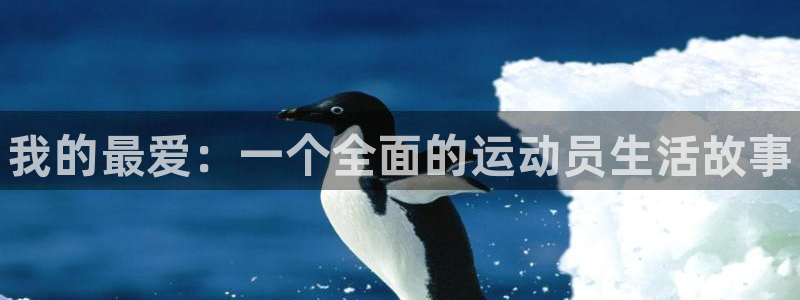 公海赌赌船官网下载招商：我的最爱：一个全面的运动员生活故事