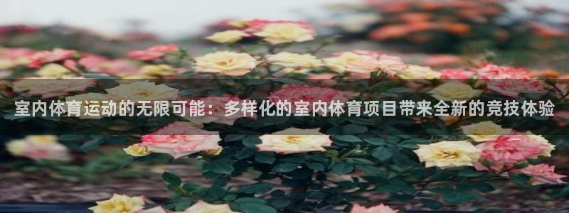 公海赌赌船官方平台体育