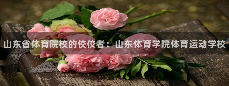 公海赌赌船官网下载平台是正规平台吗知乎：山东省体育院校的佼佼