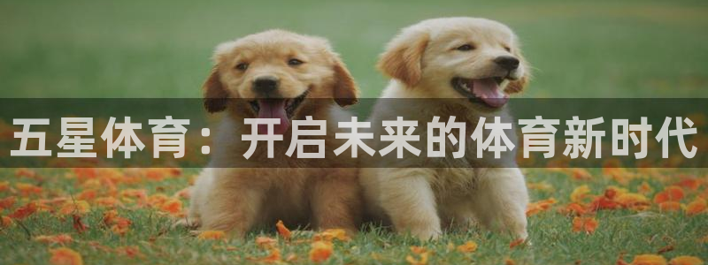 公海赌赌船官网下载招商电话是多少啊：五星体育：开启未来的体育