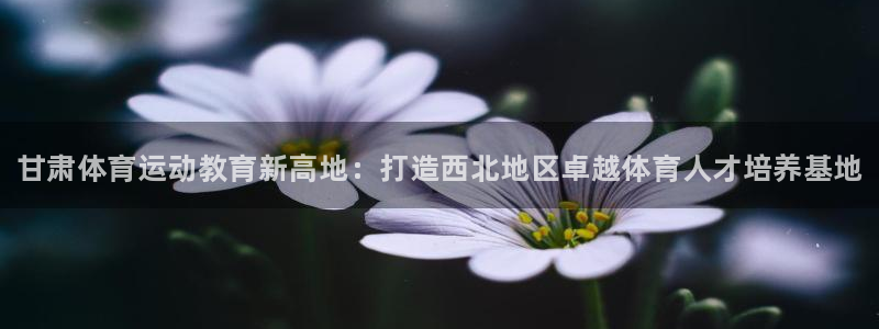公海赌赌船官方正版app娱乐是那个系列的台子：甘肃体育运动教