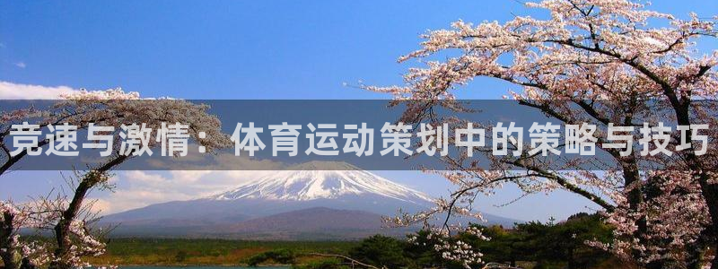 公海赌赌船官方正版app集团简介