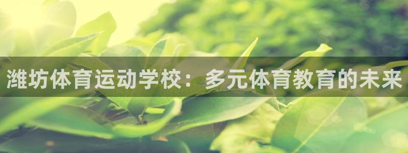 公海赌赌船官网下载平台注册流程视频：潍坊体育运动学校