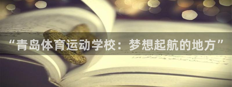 德国公海赌赌船官方正版app集团：“青岛体育运动学校