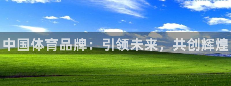 公海赌赌船官网下载是干嘛的公司：中国体育品牌：引领未