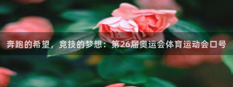 公海赌赌船官网下载平台注册流程图：奔跑的希望，竞技的
