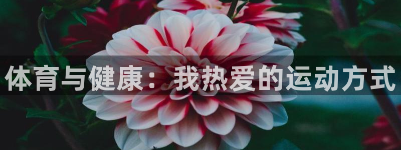 公海赌赌船官网下载招商电话地址查询：体育与健康：我热爱的运动