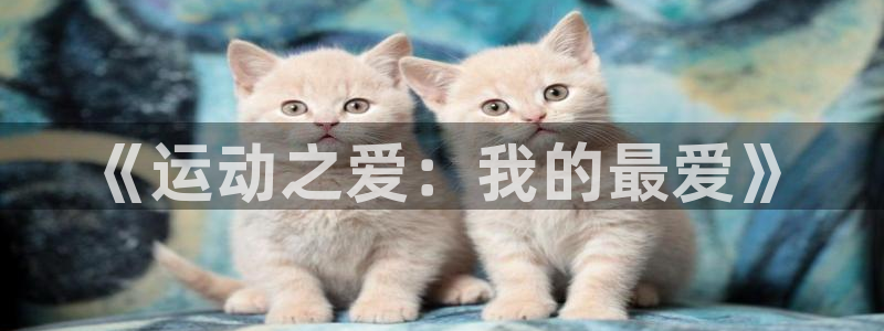 海南公海赌赌船官网下载：《运动之爱：我的最爱》