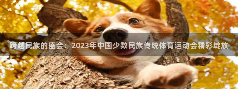 公海赌赌船官网下载招商电话号码是多少号：跨越民族的盛会：20