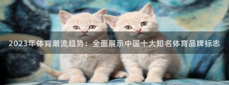 公海赌赌船官网下载平台APP：2023年体育潮流趋势：全面展