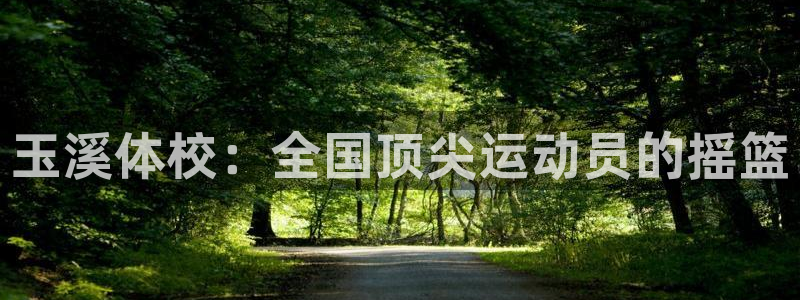 公海赌赌船官方正版app新能源