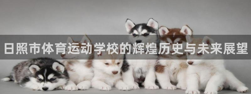 公海赌赌船官网下载招商电话号码查询