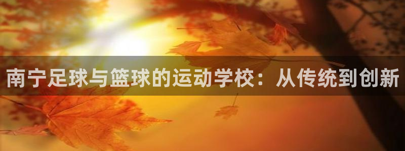 公海赌赌船官网下载平台注册：南宁足球与篮球的运动学校：从传统