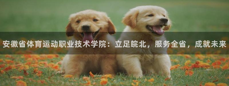 公海赌赌船官网下载招商电话是多少