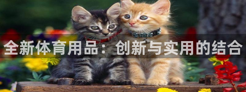 公海赌赌船官网下载平台注册流程图：全新体育用品：创新与实用的