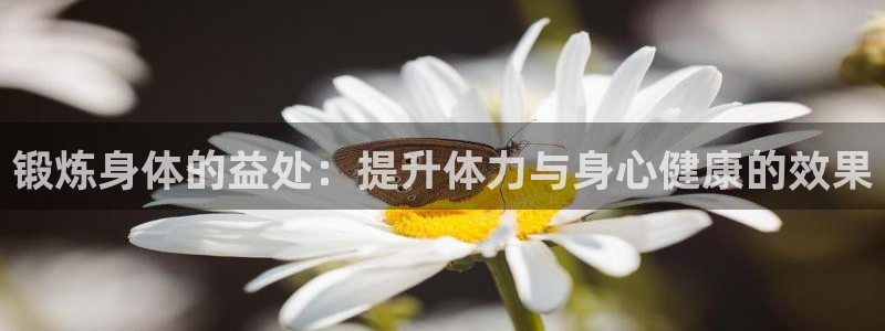 公海是什么概念