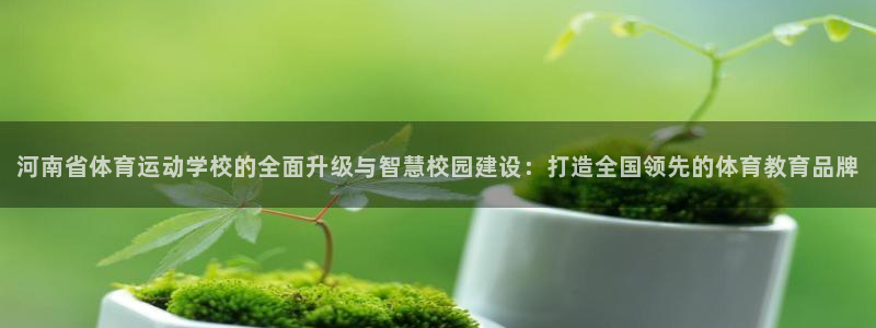 公海啥意思