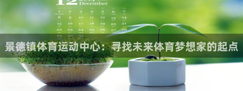 公海马生孩子还是母海马生孩子：景德镇