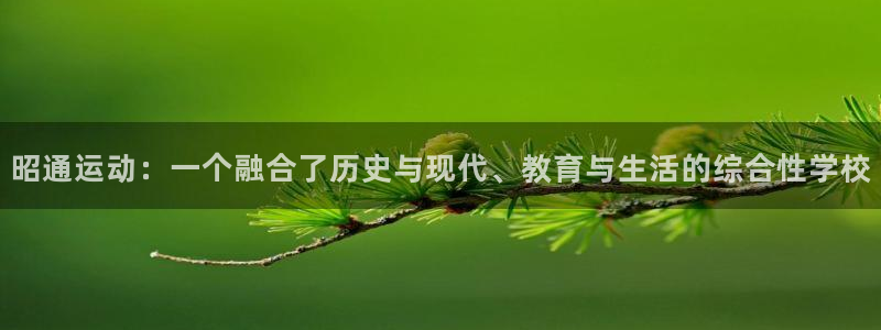 公海数据是什么软件：昭通运动：一个融合了历史与现代、教育与生