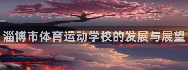  公海网络信号怎么解决：淄博市体育运动学校的发展与展望