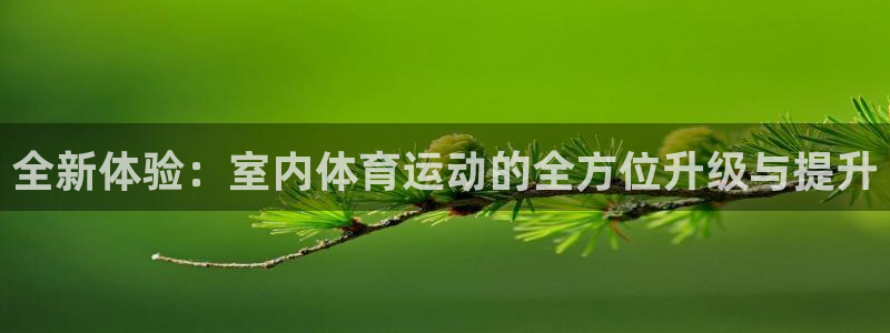 公海平台是干嘛的：全新体验：室内体育