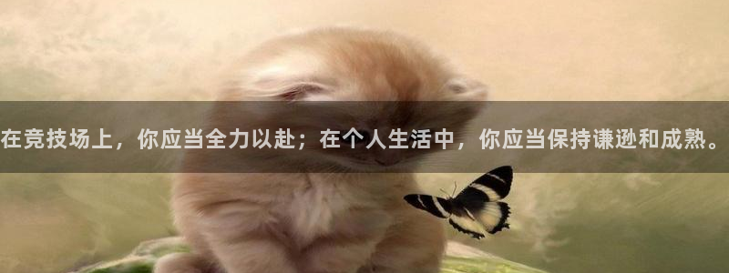 公海强风风暴国语：在竞技场上，你应当