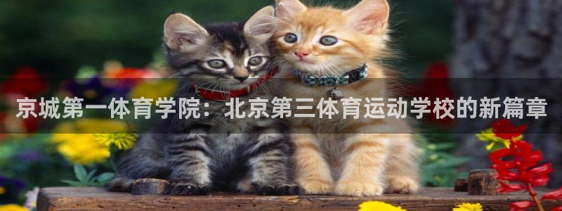 710公海赌赌船有总代理吗：京城第一体育学院：北京第三体育运