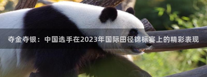  公海在哪里：夺金夺银：中国选手在2023年国际田径锦标赛上的