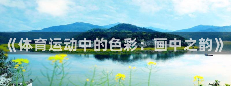  公海7108官网：《体育运动中的色彩：画中之韵》
