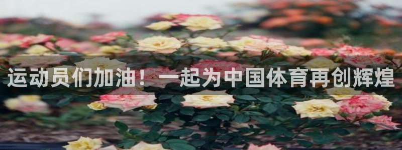 公海gh555000怎么进不去了：运