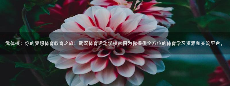  公海工作：武体校：你的梦想体育教育之旅！武汉体育运动学校官网