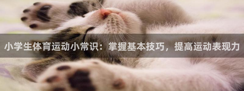 公海710a22：小学生体育运动小常
