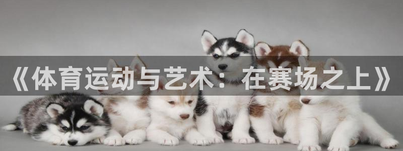 公海系统：《体育运动与艺术：在赛场之上》