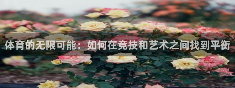 公海怎么上网：体育的无限可能：如何在竞技和艺术之间找到平衡