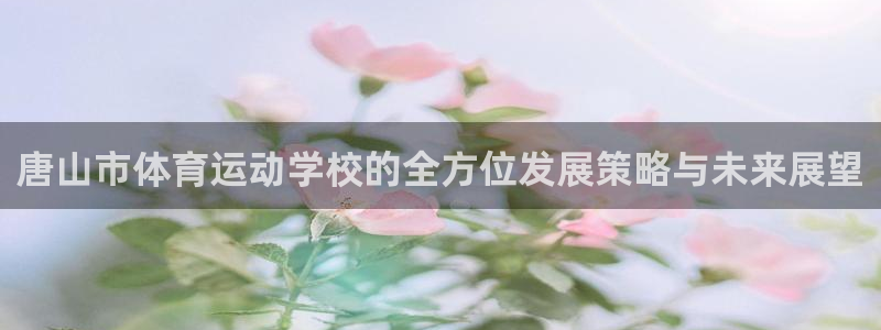公海风暴：唐山市体育运动学校的全方位