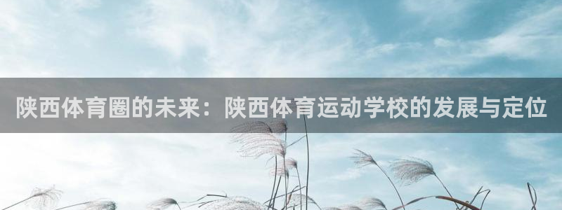 公海工作是什么意思：陕西体育圈的未来